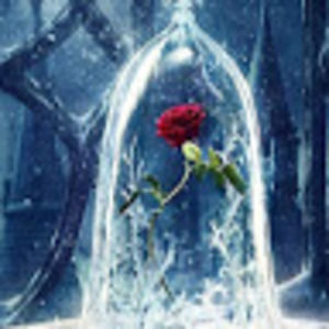 Meet your Posher, Darian